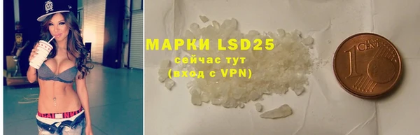 PSILOCYBIN Няндома