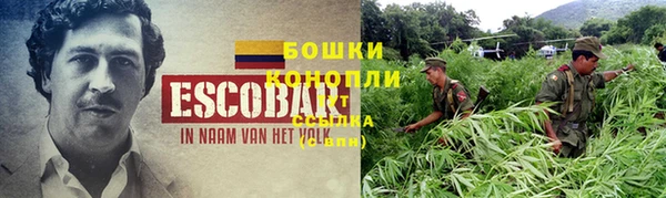стаф Нефтекумск