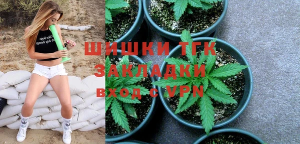 PSILOCYBIN Няндома