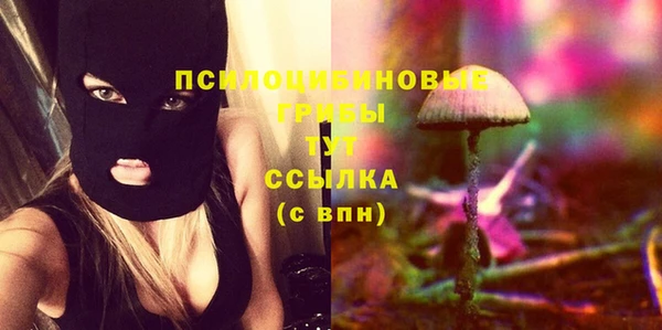СК Данков